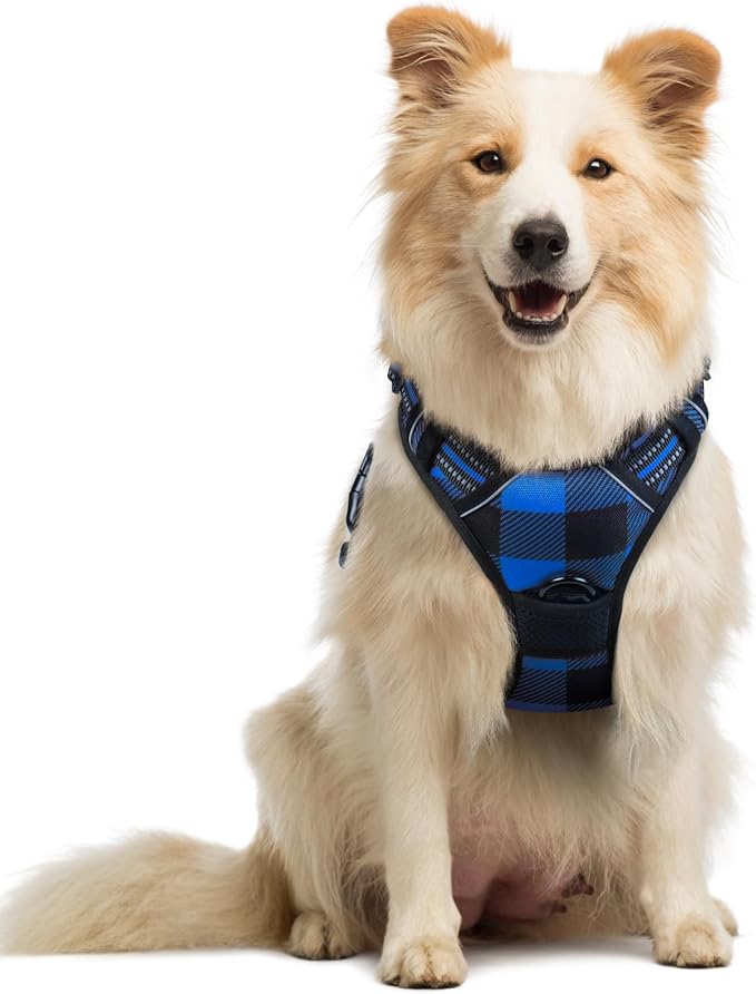 rabbitgoo Dog Harness No Pull with 2 Leash Clips, Adjustable Soft Padded, Reflective Oxford No Choke Pet Vest with Easy Control Handle for Medium Sized Dogs, Blue Plaid, M-Mewly Pet