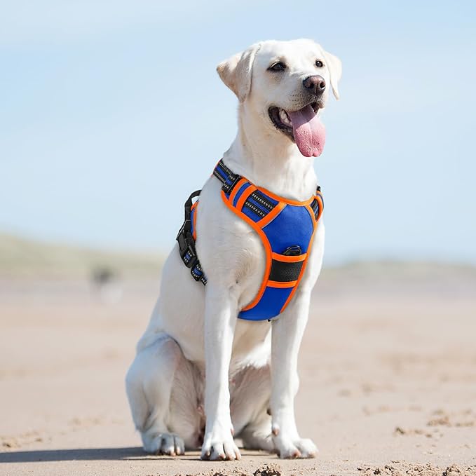 Eagloo Dog Harness for Large Dogs, No Pull Service Vest with Reflective Strips and Control Handle, Adjustable and Comfortable for Walking, No Choke Pet Harness with 2 Metal Rings, Blue & Orange, L-Mewly Pet