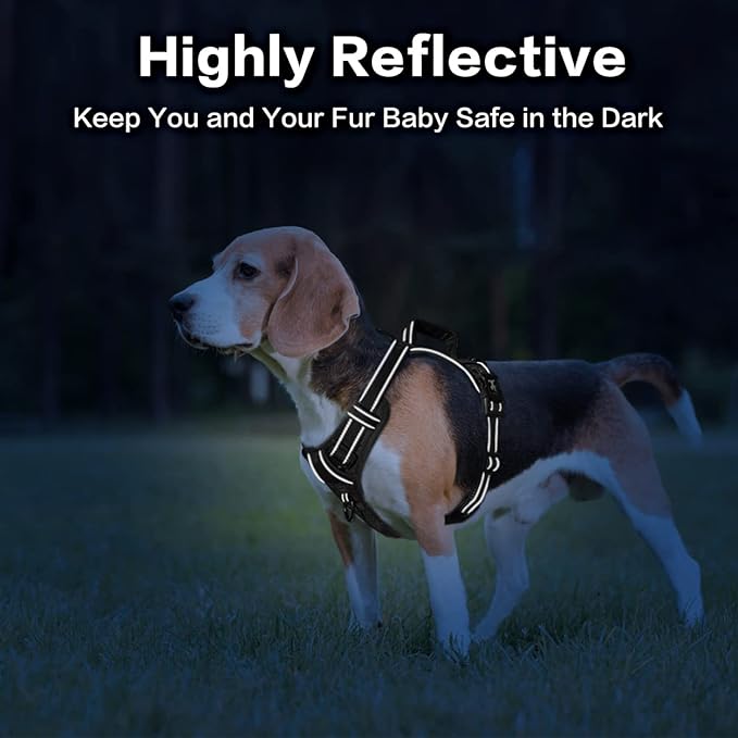 PoyPet No Pull Dog Harness, No Choke Front Clip Reflective Dog Vest with Soft Padded Vertical Handle, 3 Leash Attachments for Small Medium Large Dogs (Black,L)-Mewly Pet