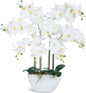 Ziwon Artificial Orchid Flowers & Plants Potted in Ceramic Pot, White Faux Phalaenopsis Orchids for Table Centerpiece, Realistic Fake Flower Arrangement for Home Office Decor Indoor