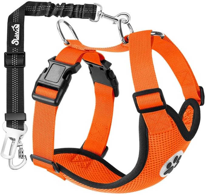 SlowTon Dog Seat Belt Harness for Car, Dog Car Harness Adjustable Mesh Breathable & Dog Seatbelt Safety Tether with Elastic Bungee for Small Medium Large Pets(Orange, Double Clip, M)-Mewly Pet