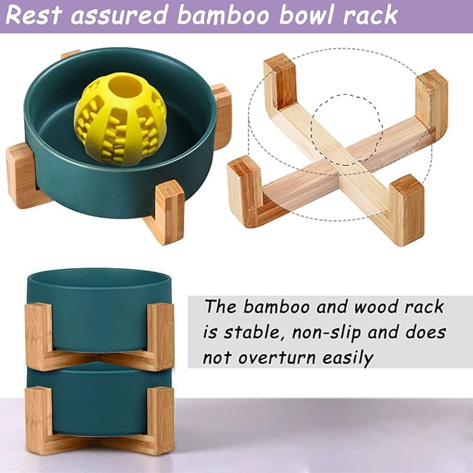 Petygooing Ceramic Dog Cat Bowl Set with Stand,Small Dog Bowls,Food and Water Dishes, Cute Modern Anti Slip Set of 2 Pet Food Dish- Small Size Pet (13.5OZ/5.1 in) Green-Mewly Pet