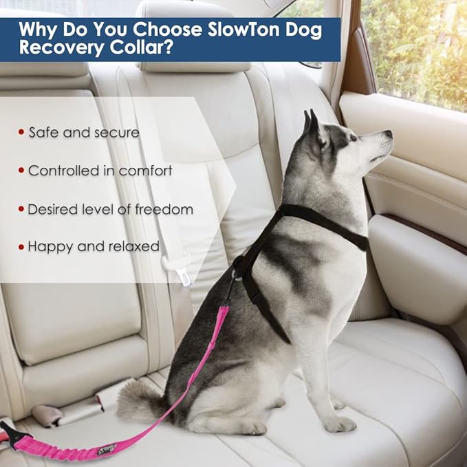 SlowTon Dog Seat Belt, Adjustable Dog Safety Belt Leash, 2 in 1 Latch Bar Attachment Dog Car Seatbelt with Elastic Nylon Bungee Buffer, Reflective Nylon Belt Tether (FU)-Mewly Pet