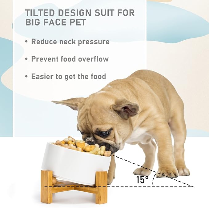SPUNKYJUNKY 15° Slanted Ceramic Dog and Cat Bowl with Wooden Stand, Tilted Bulldog Food and Water Bowl No Slip Non-Spill for Cats Medium Dogs Big Face Pets 28.7 OZ (3.6 Cups, White)-Mewly Pet