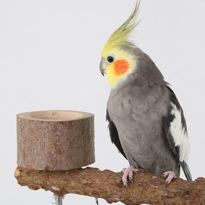 Natural Wood Parrot Stand - Ideal Toy & Accessory for Parakeets, Canaries, Cockatiels, Conure, Lovebirds - Bird Perch Stand with Removable Tray Climbing Net Chewing Toys- Perfect Pet Birds Playstand-Mewly Pet