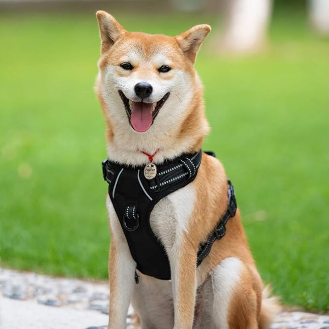 PoyPet No Pull Dog Harness, Reflective Comfortable Vest Harness with Front & Back 2 Leash Attachments and Easy Control Handle Adjustable Soft Padded Pet Vest for Small to Large Dogs (Black,XS)-Mewly Pet
