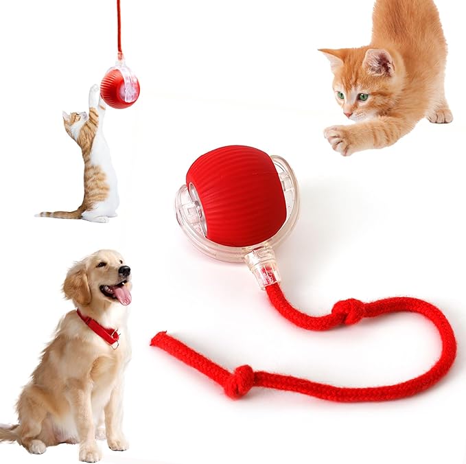 Interactive Cat Toys for Indoor Cats, 360° Smart Automatic Kitten Toys Self Rolling Pet Ball, Moving Dog Cat Ball with Mesh Tail for Bored, USB Rechargeable (Red)-Mewly Pet