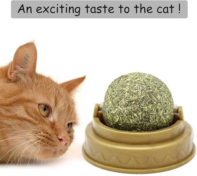 Oncpcare 4 Pack Catnip Balls, Natural Mint Leaf Catnip Ball for Cats Wall Cat Nip Cat Treats Magic Toy for Kitten Kitty Playing Chewing-Mewly Pet