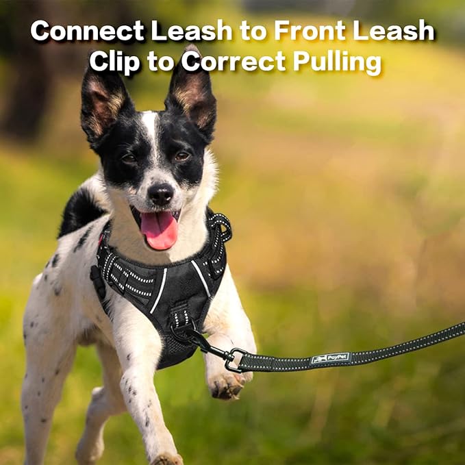PoyPet No Pull Dog Harness, No Choke Front Clip Reflective Dog Vest with Soft Padded Vertical Handle, 3 Leash Attachments for Small Medium Large Dogs (Black,M)-Mewly Pet