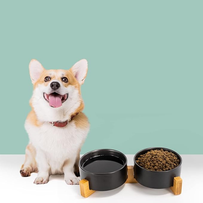 SPUNKYJUNKY Ceramic Dog and Cat Bowl Set with Wooden Stand, Modern Cute Weighted Food Water Set for Small Size Dogs (13.5OZ) & Medium Sized Dogs (28.7OZ) & Cats (3.6 Cups, 2 × Black)-Mewly Pet