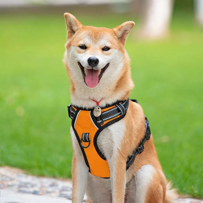 PoyPet No Pull Dog Harness, Reflective Comfortable Vest Harness with Front & Back 2 Leash Attachments and Easy Control Handle Adjustable Soft Padded Pet Vest for Small to Large Dogs (Orange,XL)-Mewly Pet