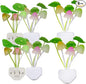 AUSAYE Plug in Night Light, Lotus Leaf Style Mushroom Light LED Nightlights for Kids, Adults, Bedroom, Bathroom,Hallway, Stairs, Kitchen Pack of 6