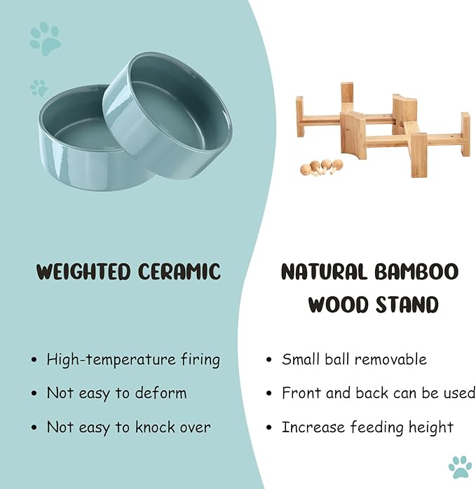 SPUNKYJUNKY 15° Slanted Ceramic Dog and Cat Bowl with Wooden Stand, Tilted Bulldog Food and Water Bowl No Slip Non-Spill for Cats Medium Dogs Big Face Pets 13.5 OZ (1.7 Cups, Light Green × 2)-Mewly Pet