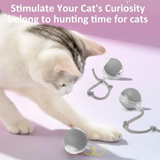 Chewie Viral Rolling Ball, Interactive Cat Toys Ball for Indoor, Cats Interactive Self Rolling Ball Dog Ball Automatic Cat Toy 360° Smart Automatic Rolling Pet Ball (Grey)-Mewly Pet