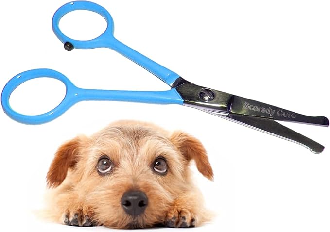Tiny Trim 4.5" Ball-Tipped Scissor for Dog, Cat and all Pet Grooming - Ear, Nose, Face & Paw - Scaredy Cut's small Safety Scissor Blue-Mewly Pet