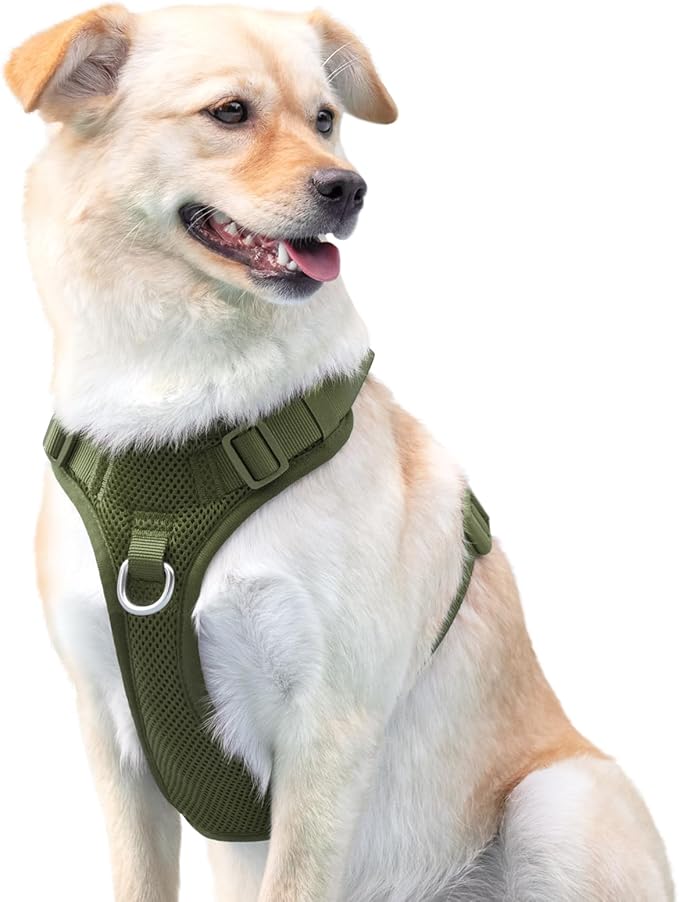 No Pull Dog Harness for Small Medium Large Dogs - Adjustable Two-Layer Mesh Dog Vest with Dual Clip, Escape Proof, Quick Release, Lightweight Breathable Mesh for Walking Hiking (Misty Green,L)-Mewly Pet