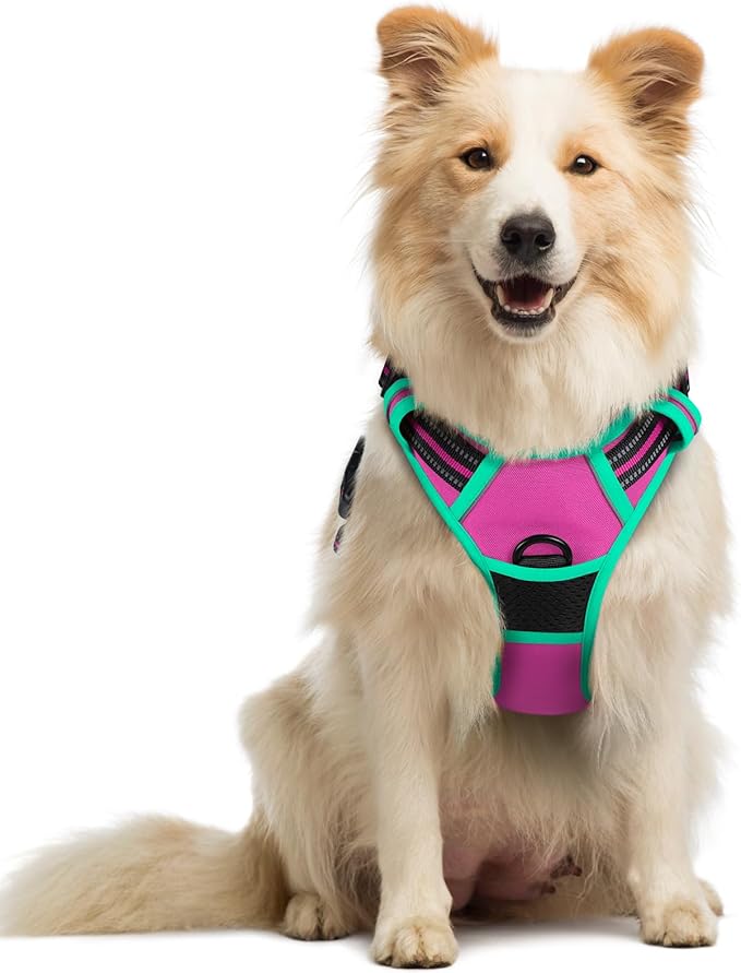 rabbitgoo Dog Harness No Pull with 2 Leash Clips, Adjustable Soft Padded, Reflective Oxford No Choke Pet Vest with Easy Control Handle for Large Dogs, Hot Pink & Turquoise, M-Mewly Pet