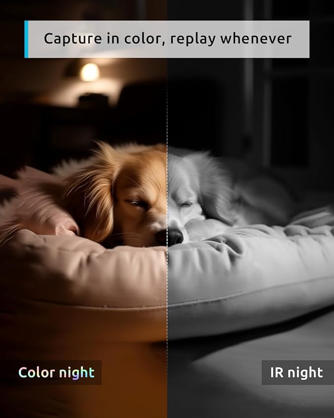 blurams Pet Camera 2K, 360° Dog Camera with Phone App, PTZ Indoor Cameras for Home Security Indoor, 2-Way Audio, Motion Tracking, Color/IR Night Vision, Siren, Cloud&SD(2.4GHz Only)-Mewly Pet