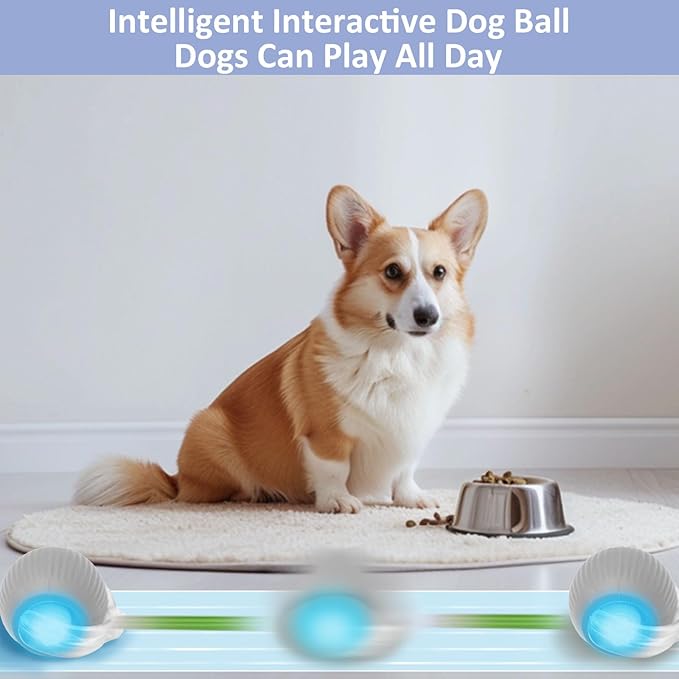 Chewie Viral Rolling Ball, Interactive Cat Toys Ball for Indoor, Cats Interactive Self Rolling Ball Dog Ball Automatic Cat Toy 360° Smart Automatic Rolling Pet Ball (Grey)-Mewly Pet