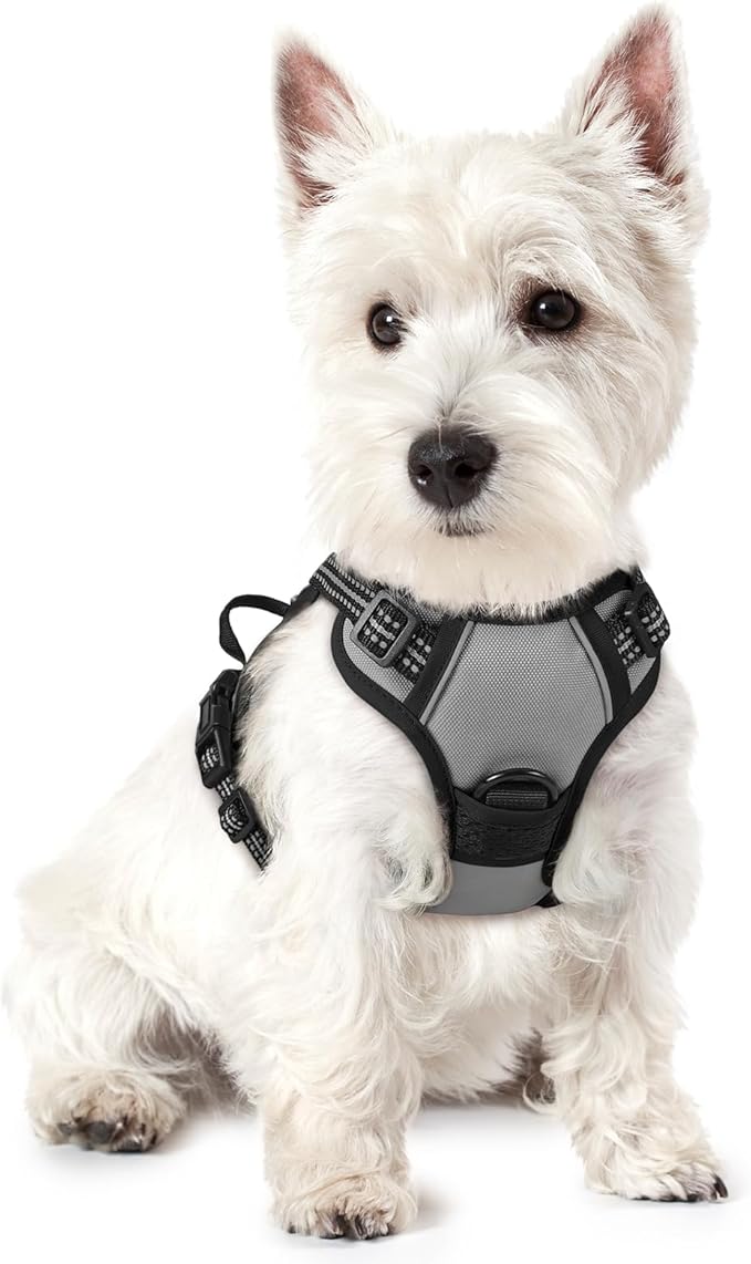 rabbitgoo Dog Harness No Pull with 2 Leash Clips, Adjustable Soft Padded, Reflective Oxford No Choke Pet Vest with Easy Control Handle for Puppy, Grey, XS-Mewly Pet