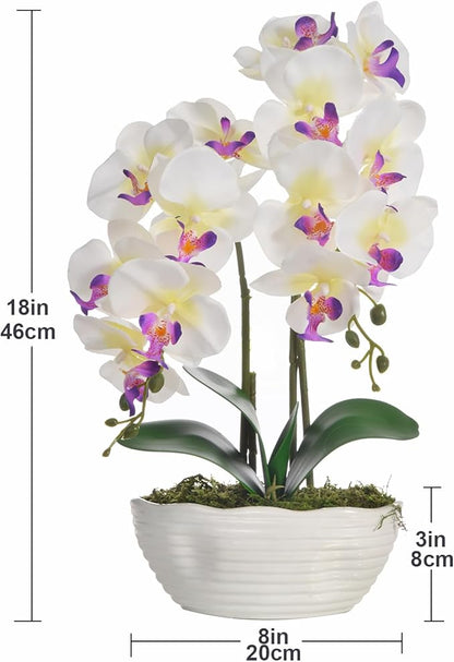 Large Artificial Potted Orchid Plant, Silk Flower Arrangement with Ceramics Vase, White