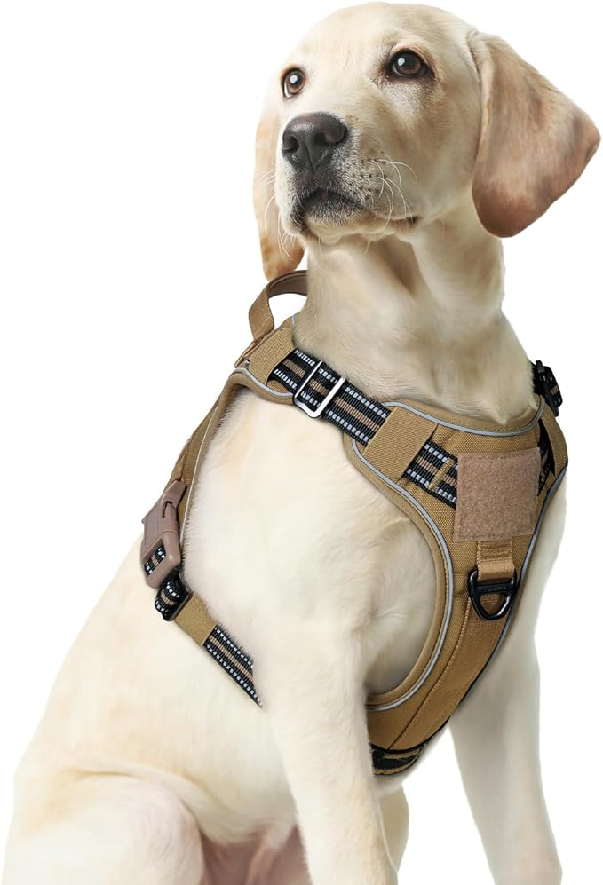 rabbitgoo Dog Harness Medium Sized No Pull, Tactical Service Pet Vest with Molle and Control Handle, Adjustable and Reflective Military Harness for Easy Walking and Training, Brown, M-Mewly Pet
