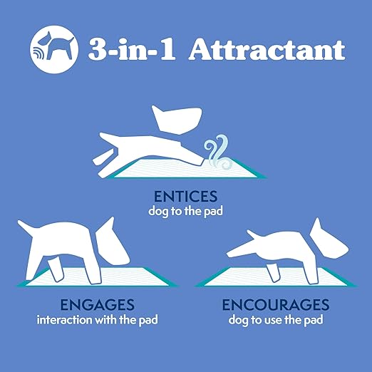 Simple Solution Puppy Training Pads – Large Leak-Proof Potty Pads for Dogs – Disposable with Odor Control and Absorbent Core for Floor Protection – 23 x 24 Inches – 100 Count-Mewly Pet