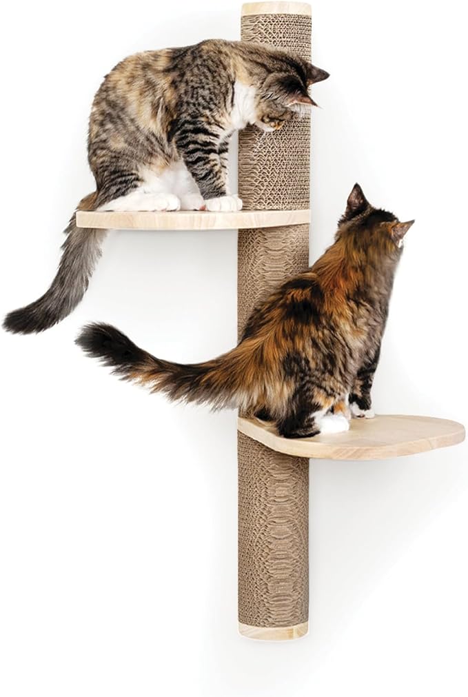 Cat Climbing Wall System – Modern Floating Shelves & Perches for Cats - Sunrise Steps | Ascentials by FurHaven-Mewly Pet