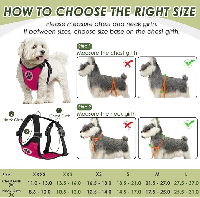 SlowTon Dog Seat Belt Harness for Car, Dog Car Harness Adjustable Mesh Breathable & Dog Seatbelt Safety Tether with Elastic Bungee for Small Medium Large Pets(Fuchsia, Double Clip, M)-Mewly Pet