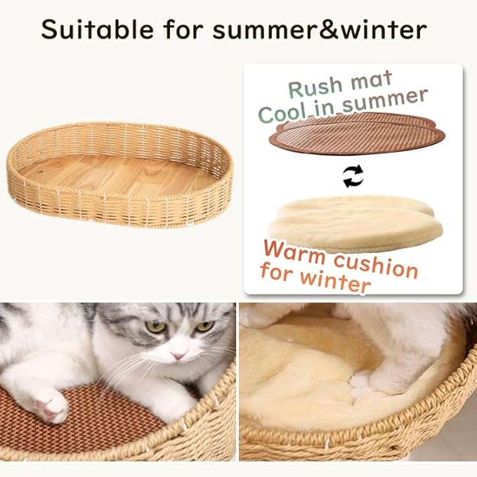 48'' Cat Tree for Large Cats, Modern Cat Tree Multi-Level Condo with Natural Wood, Cat Activity Centre for Medium and Big Pets (White LS02)-Mewly Pet