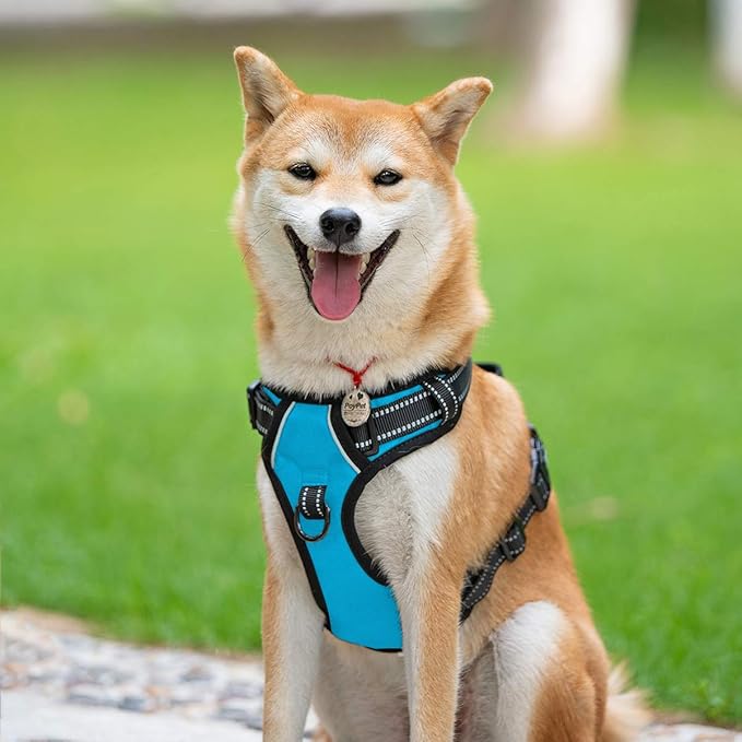 PoyPet No Pull Dog Harness, Reflective Comfortable Vest Harness with Front & Back 2 Leash Attachments and Easy Control Handle Adjustable Soft Padded Pet Vest for Small to Large Dogs (Blue,L)-Mewly Pet