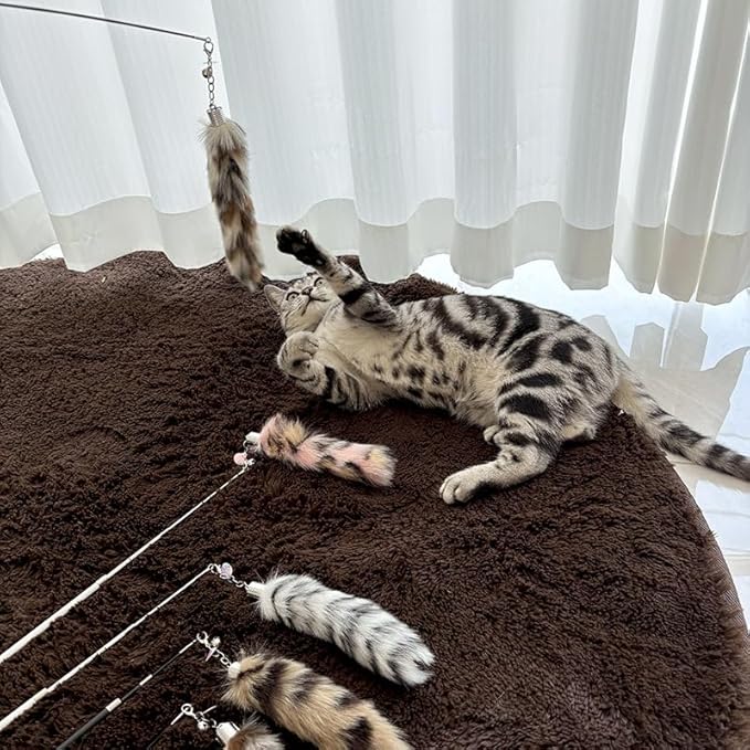 Interactive Cat Wand Toy with Cat Dancer, Retractable Feather Fox Tail Teaser for Indoor Cats, Enrichment Play Kittens to Senior Cats(Arctic White)-Mewly Pet