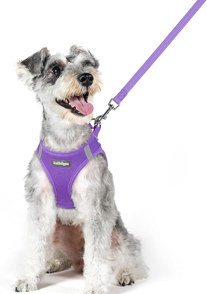 rabbitgoo Dog Harness Small Sized and Leash Set, Step in Soft Light Puppy Vest, Breathable Mesh Pet Harness, Reflective for Outdoor Safe Walking, Purple XL-Mewly Pet
