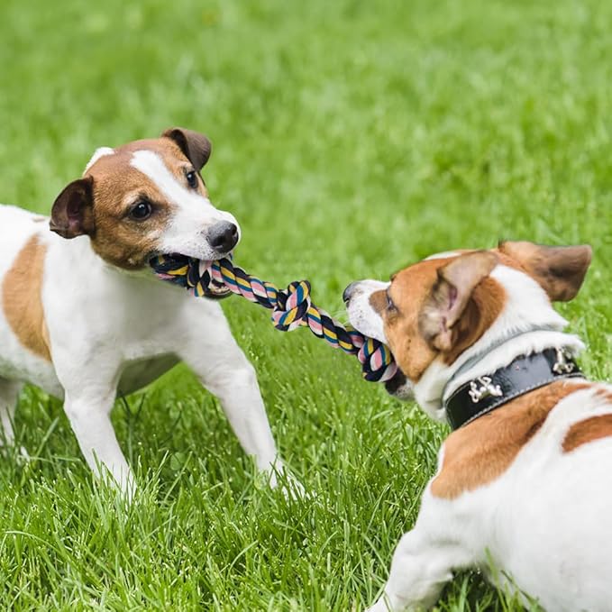 Dog Toys for Aggressive Chewers Large Medium Breed, Indestructible Dog Toothbrush Chew Toys, Squeaky Interactive Tough Extremely Durable, Dogs Toys to Keep Them Busy-Mewly Pet