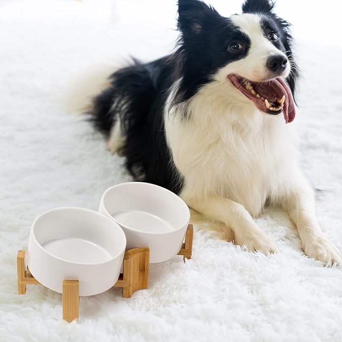SPUNKYJUNKY 15° Slanted Ceramic Dog and Cat Bowl with Wooden Stand, Tilted Bulldog Food and Water Bowl No Slip Non-Spill for Cats Medium Dogs Big Face Pets 28.7 OZ (3.6 Cups, White × 2)-Mewly Pet