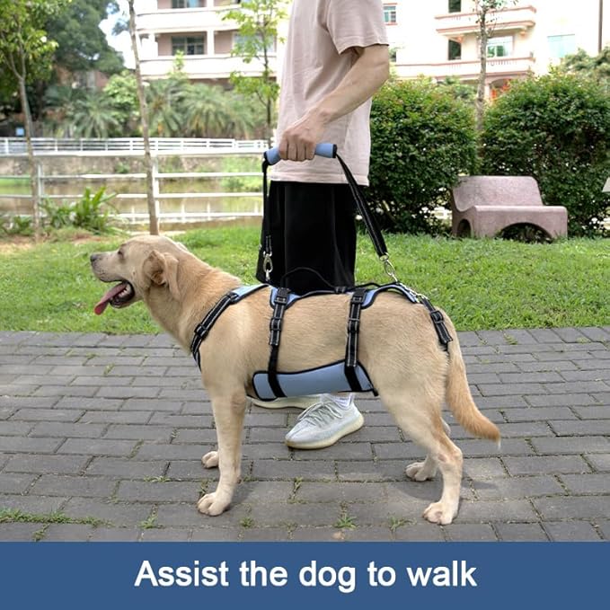 Coodeo Dog Lift Harness, Full Body Support & Recovery Sling, Pet Rehabilitation Lifts Vest for Old Dog with Arthritis Walk(Bule,L)-Mewly Pet