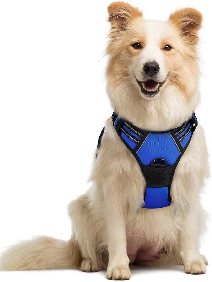 rabbitgoo Dog Harness No Pull with 2 Leash Clips, Adjustable Soft Padded, Reflective Oxford No Choke Pet Vest with Easy Control Handle for Medium Sized Dogs, Dazzling Blue, M-Mewly Pet