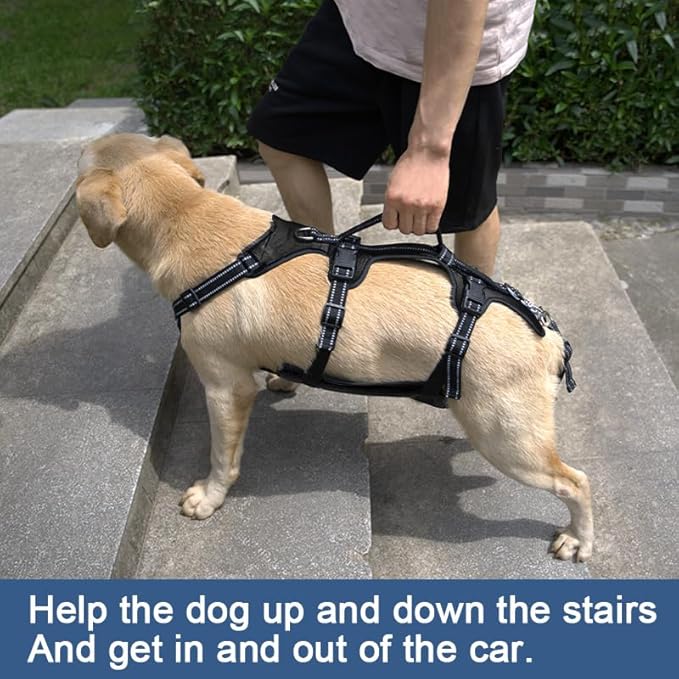 Coodeo Dog Lift Harness, Support & Recovery Sling, Pet Rehabilitation Lifts Vest Adjustable Breathable Straps for Old, Disabled, Joint Injuries, Arthritis, Paralysis Dogs Walk (Black,L)-Mewly Pet