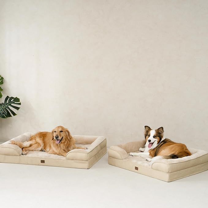 EHEYCIGA Orthopedic Dog Bed for Medium Dogs, Waterproof Memory Foam Medium Dog Beds with Sides, Non-Slip Bottom and Egg-Crate Foam Pet Couch Bed with Washable Removable Cover, Greige-Mewly Pet