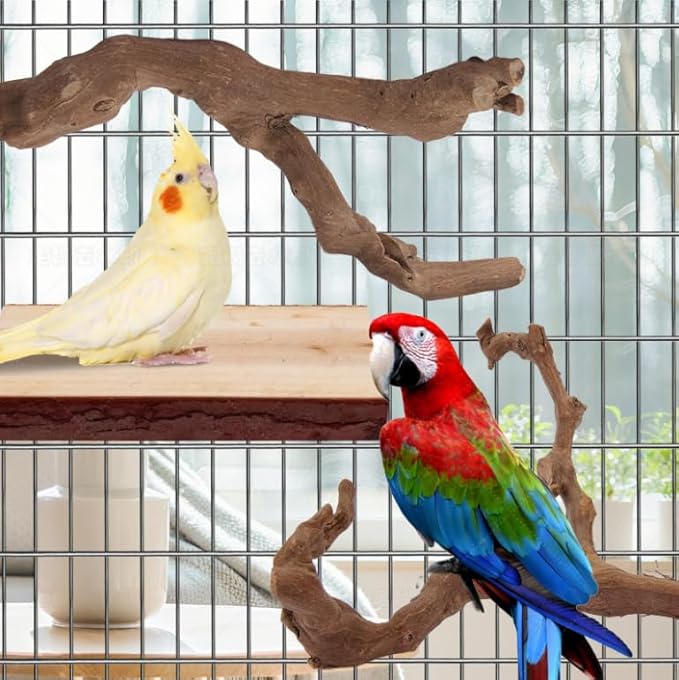 Parrot Perch Bird Perch Stand Set Natural Wild Wood Grape Sticks Paw Grinding Fork Parakeet Climbing Standing Branches Toys Cage Accessories for Conure,Cockatiels Lovebirds,Budgies Chewable 6PC-Mewly Pet