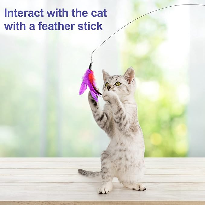 Cat Feather Toys Interactive Cats - Dorakitten Cat Powerful Suction Cup Handheld Teaser Wand Toy and 5PCS Replacement Feather with Bell for Kitty Kitten Scratching Exercise Indoor-Mewly Pet