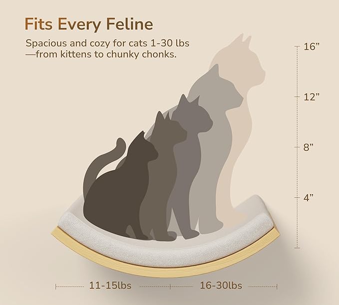 Cat Wall Shelves and Cats Window Perch – Natural Wood 4-Piece Set with Foam-Padded Curved Bed and Felt Steps, Space-Saving Wall Mounted Design-Mewly Pet