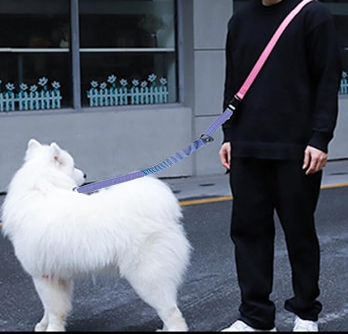 Hands Free Dog Leash for Large Medium Dogs Heavy Duty Bungee Reflective Adjustable Waist Leashes for Walking Running with Car Buckle 4-6FT (Purple)-Mewly Pet