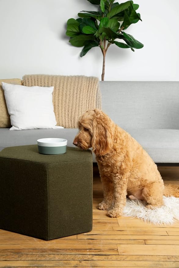 Waggo Dipper Ceramic Dog Bowl for Small and Large Breeds - Heavyweight and Durable Pet Food and Water Dish Crock, Dishwasher Safe, Modern (Midnight, Small)-Mewly Pet