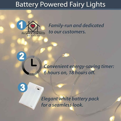 QBIS Warm White Fairy Lights Battery Operated With Timer Mode, 40 Micro LED for Mason Jars, 6.5ft Silver Wire Indoor Use