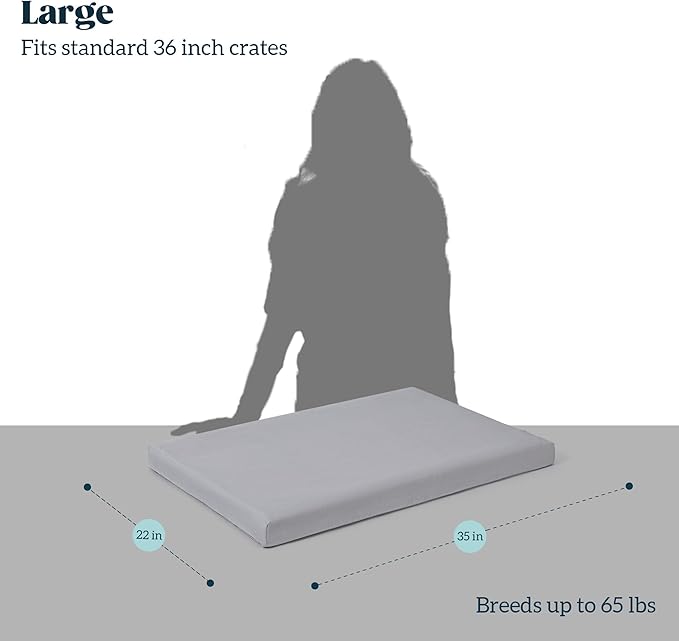 Cybarmour Indestructible Dog Bed - Outdoor Waterproof Chew Proof Dog Crate Pad - Orthopedic Kennel Mat for Aggressive Chewers - Large Breeds & Fits 36-Inch Crate - 35"x22", Limestone-Mewly Pet