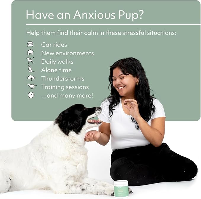 Reggie Anytime Calming Chews for Dogs | Natural Calming Dog Treats to Reduce Hyperactivity, Separation Anxiety, & Stress | Vet-Approved & Ideal for All Ages, Breeds, and Sizes (120 Count)-Mewly Pet