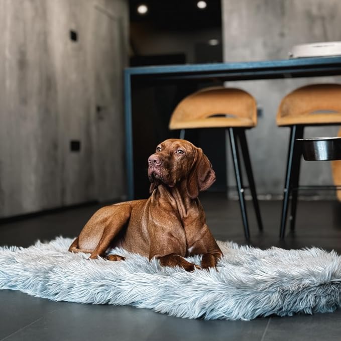 IHAPPYDOG Luxury Faux Fur Orthopedic Dog Bed, Memory Foam Dog Bed for Small, Medium, Large and XL Pets, Fluffy Pet Bed with Waterproof and Washable Cover (Grey, 50"x30")-Mewly Pet