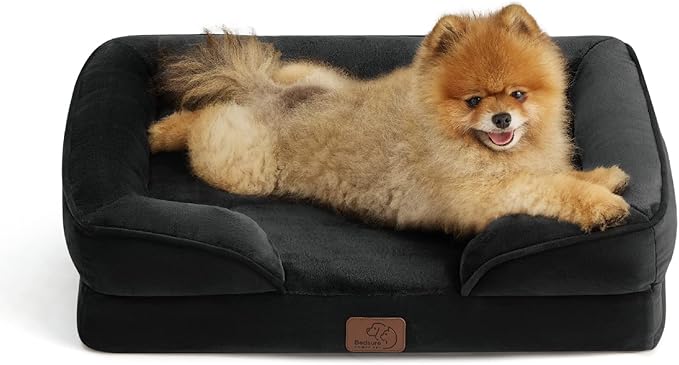 Bedsure Orthopedic Dog Beds for Small Dogs - Washable Small Dog Cat Bed Waterproof, Comfort Pet Couch Sofa with Washable Removable Cover, Pets Bed with Nonskid Bottom, Black, 24"-Mewly Pet