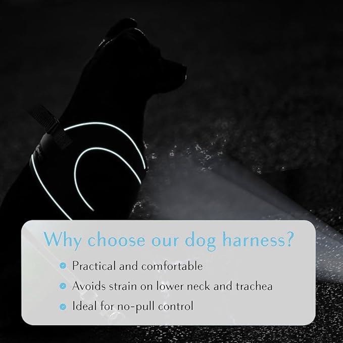 Comfort Fit Dog Harness Soft Padded No Pull Harness with Adjustable Buckles for Small Medium Large Dogs Step in Pet Vest with Easy Control Handle for Walking Jogging Running Training Dogs & Puppies-Mewly Pet